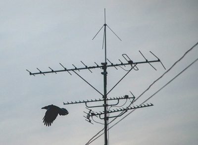 Antenna Service in Broadbeach
